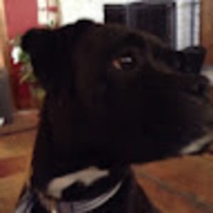 Meet your Posher, Aiden